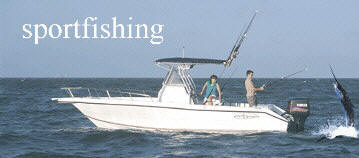 Rent a boat and a captain to enjoy the finest sportsfishing in the world - and save money.